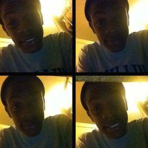 Meet your Posher, Sylvester